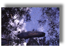 Rocks in Water